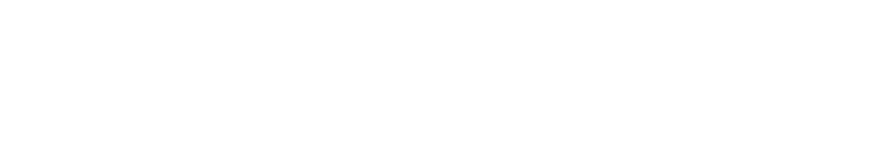 DriveWeb